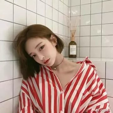 常绿树