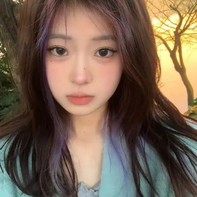 哈吉布基的森林冒险
