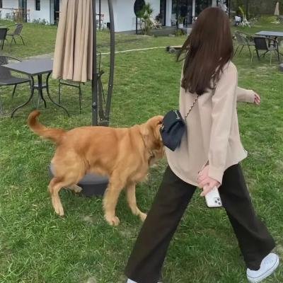 捕鸟者